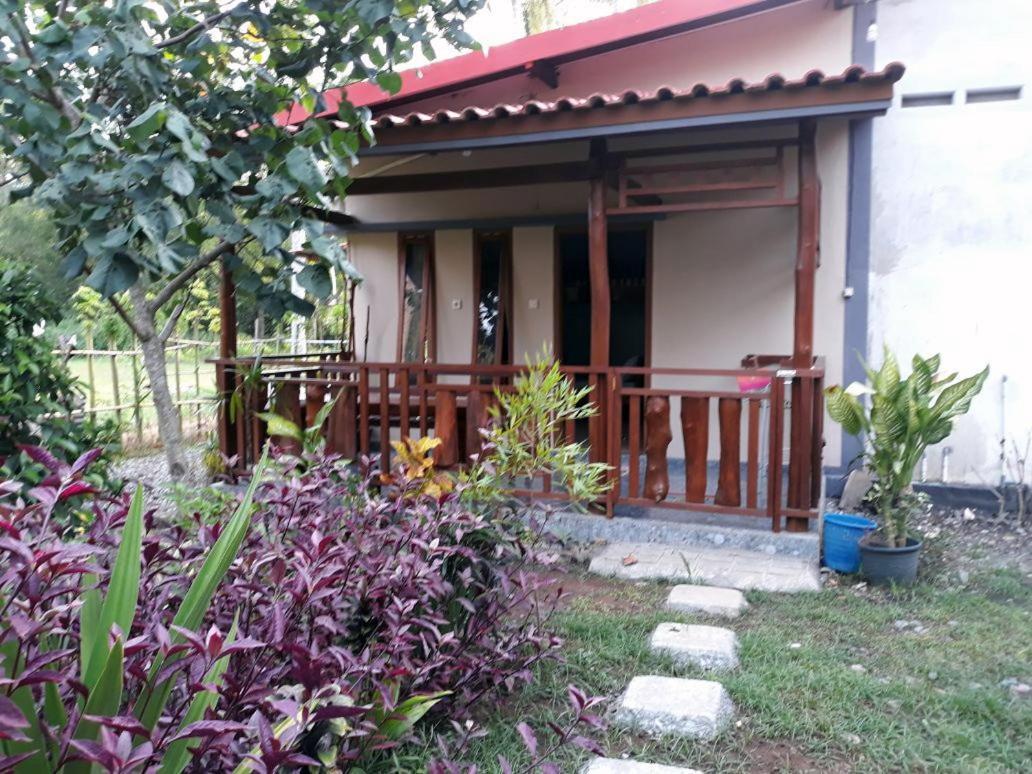 Red Island Bungalows Pasanggaran Ruang foto